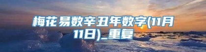 梅花易数辛丑年数字(11月11日)_重复