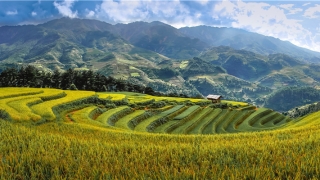 比肩什么情况不克财(劫财格是什么意思)