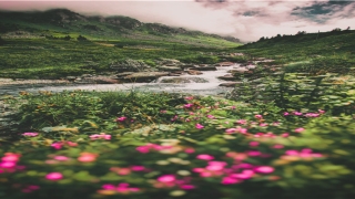 穿心煞是什么意思(穿心什么意思)