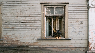 带鑫字的公司起名(企业公司起名鑫字开头)