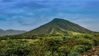 看手相准吗(占星与手相)