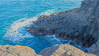 86年的女虎婚配有哪些(1986年属虎)