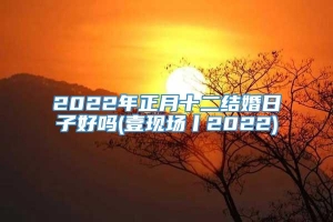 2022年正月十二结婚日子好吗(壹现场丨2022)