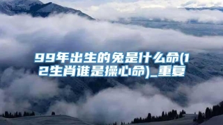 99年出生的兔是什么命(12生肖谁是操心命)_重复