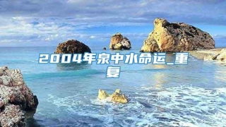 2004年泉中水命运_重复