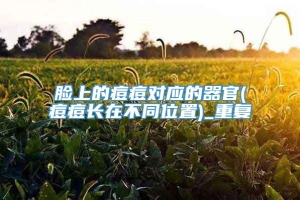 脸上的痘痘对应的器官(痘痘长在不同位置)_重复