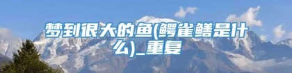 梦到很大的鱼(鳄雀鳝是什么)_重复