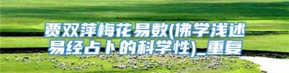 贾双萍梅花易数(佛学浅述易经占卜的科学性)_重复