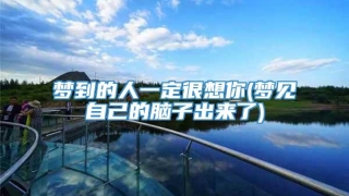 梦到的人一定很想你(梦见自己的脑子出来了)