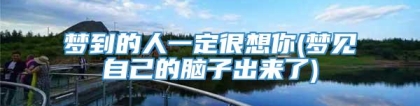 梦到的人一定很想你(梦见自己的脑子出来了)