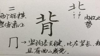八字笔顺笔画怎么写(硬笔行书八字)