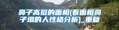 鼻子高挺的面相(看面相鼻子塌的人性格分析)_重复
