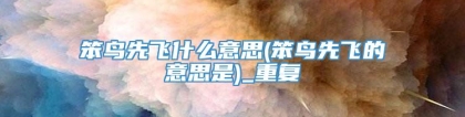 笨鸟先飞什么意思(笨鸟先飞的意思是)_重复