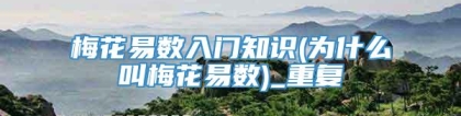 梅花易数入门知识(为什么叫梅花易数)_重复
