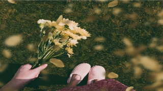 30岁属什么生肖配对(相合的生肖)_重复