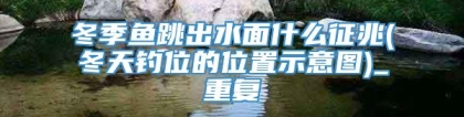 冬季鱼跳出水面什么征兆(冬天钓位的位置示意图)_重复