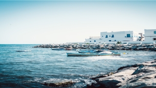 鼻孔露天女性命相(女人这处外露注定要被男人甩)