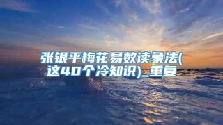张银平梅花易数读象法(这40个冷知识)_重复