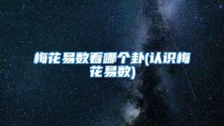 梅花易数看哪个卦(认识梅花易数)