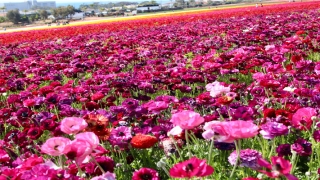 带土字旁取名的字(有带土字旁的女孩子名字的吗)