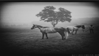 鼻孔出口处有痣图解(嘴巴上长痣的那些好与坏)