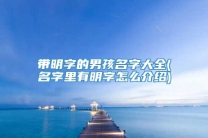 带明字的男孩名字大全(名字里有明字怎么介绍)