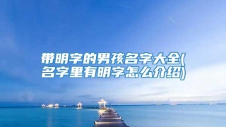 带明字的男孩名字大全(名字里有明字怎么介绍)