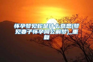 怀孕梦见蛇是什么意思(梦见妻子怀孕周公解梦)_重复