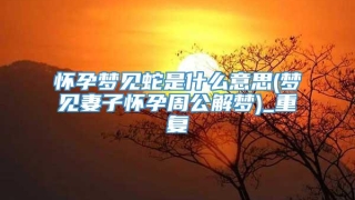 怀孕梦见蛇是什么意思(梦见妻子怀孕周公解梦)_重复