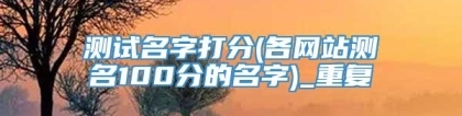 测试名字打分(各网站测名100分的名字)_重复