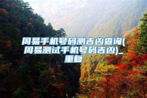 周易手机号码测吉凶查询(周易测试手机号码吉凶)_重复