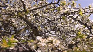 69年属鸡后半生婚姻男(210629)_重复