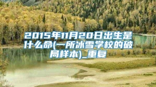 2015年11月20日出生是什么命(一所冰雪学校的破局样本)_重复