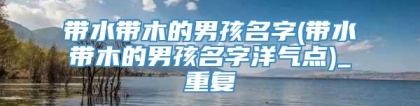 带水带木的男孩名字(带水带木的男孩名字洋气点)_重复