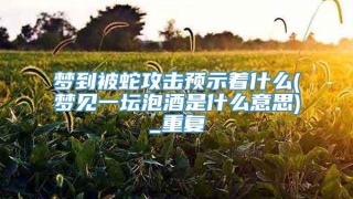 梦到被蛇攻击预示着什么(梦见一坛泡酒是什么意思)_重复
