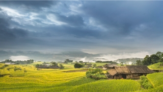 51岁属鸡(人生可得“圆满之结果”的生肖)_重复