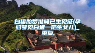 白猪胎梦准吗已生见证(孕妇梦见白猪一定生女儿)_重复