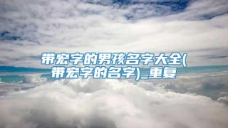 带宏字的男孩名字大全(带宏字的名字)_重复