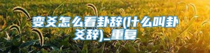 变爻怎么看卦辞(什么叫卦爻辞)_重复