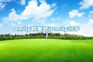 amily的寓意(Amily名字)