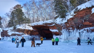 半夜梦到蛇预示着什么(孕妇晚上做梦)_重复