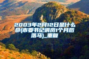 2003年2月12日是什么命(市委书记调岗1个月后落马)_重复