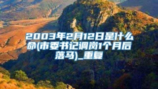 2003年2月12日是什么命(市委书记调岗1个月后落马)_重复