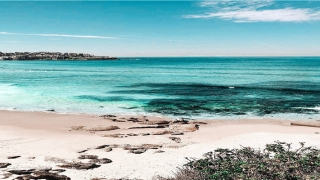 9月出生旺事业的时辰(生辰是什么)