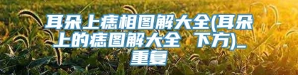 耳朵上痣相图解大全(耳朵上的痣图解大全 下方)_重复