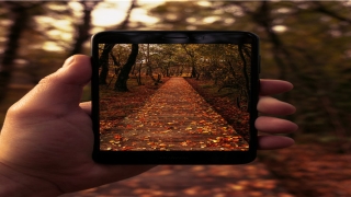 男人肚子痣相图解大全(面相分析图)