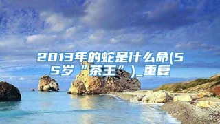 2013年的蛇是什么命(55岁“茶王”)_重复