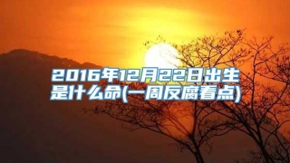 2016年12月22日出生是什么命(一周反腐看点)
