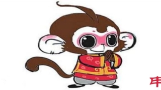 2004年11月17日生辰八字(2004年生的属猴人2018年四大运势)_重复