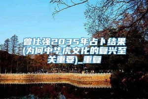 曾仕强2035年占卜结果(为何中华虎文化的复兴至关重要)_重复